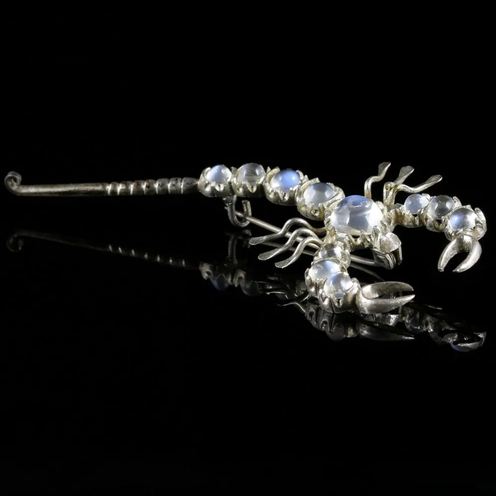 Antique Victorian Moonstone Scorpion Brooch Silver Circa 1880