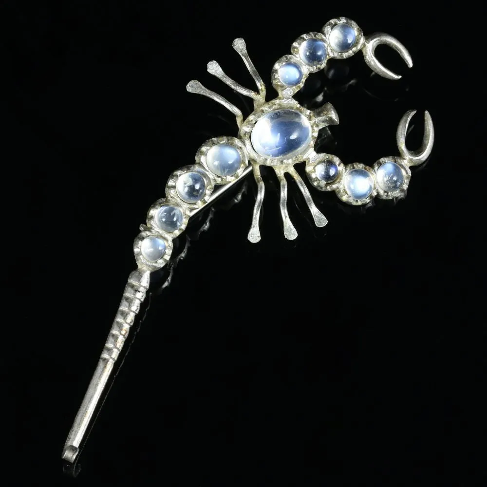 Antique Victorian Moonstone Scorpion Brooch Silver Circa 1880