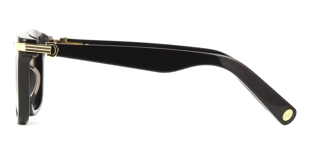 Cartier Sunglass Recycled Ace - CCT0396S001