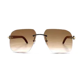 Metal Sunglass Gold With Brown - CCT0041RS001