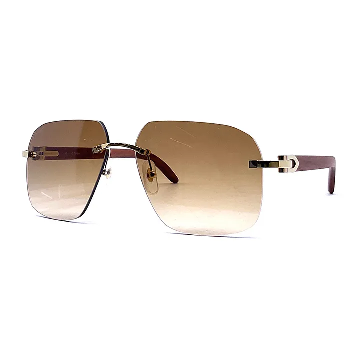 Metal Sunglass Gold With Brown - CCT0041RS001