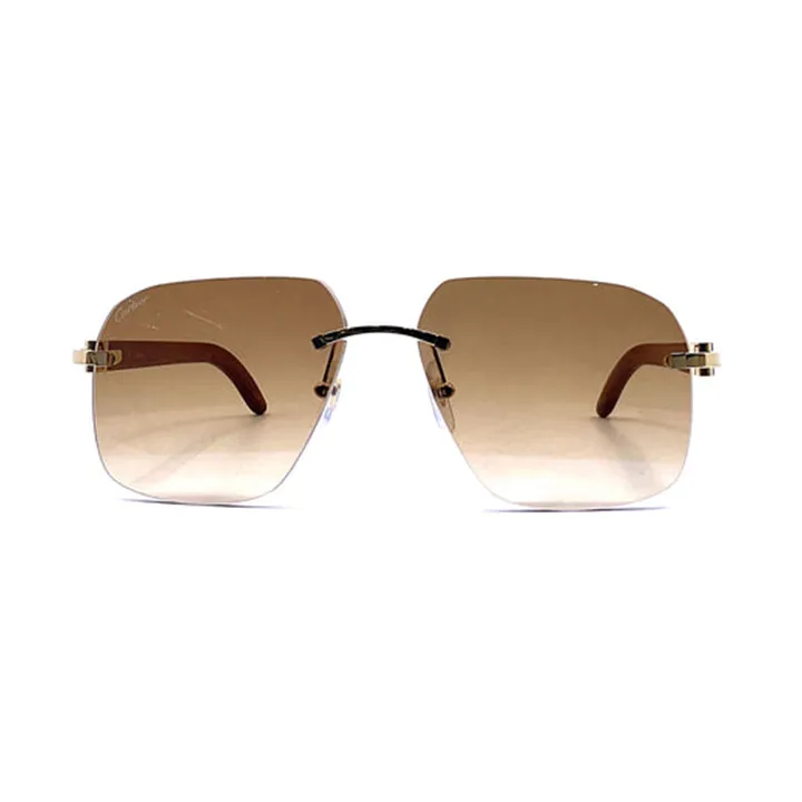 Metal Sunglass Gold With Brown - CCT0041RS001